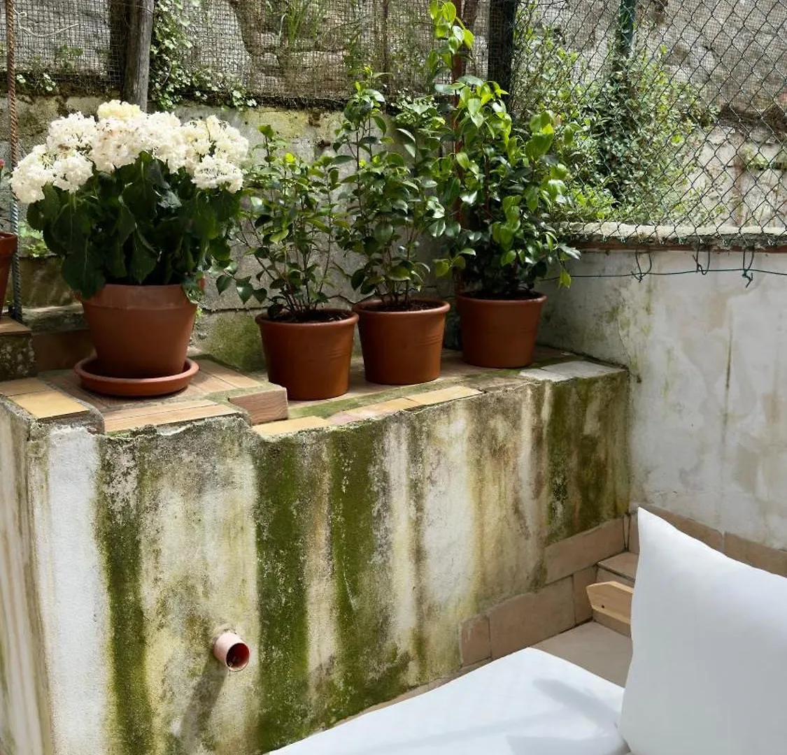 Apartment Entire Three Bedrooms Townhouse With Terrace In Heart Of Tuscany Montopoli in Val dʼArno Italien